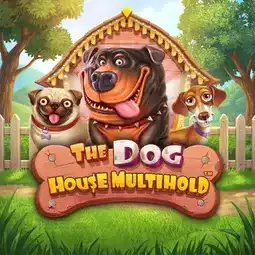 The Dog House Multihold game at Bizzo Casino for Australia players